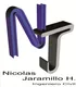 Nicolás Jaramillo H. — Ingeniero Civil